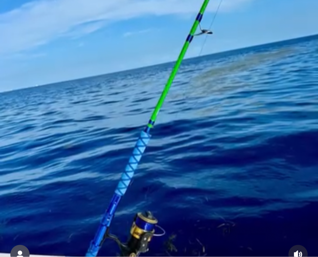 a fishing pole sinks faster than a tackle box 106pcs Weights Assortment Saltwater Split Shot Fishing Weights Sinkers Kit Assorted Bass Casting Bell Sinkers with for Saltwater Freshwater : Sports & Outdoors Children and adults alike will love interacting with this fun book. a fishing pole sinks faster