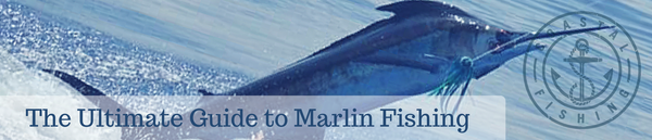 Guide to Marlin Fishing