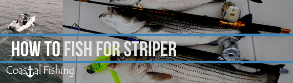 How to Fish for Striped Bass (Striper)