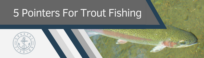5 Pointers For Trout Fishing | Coastal Fishing