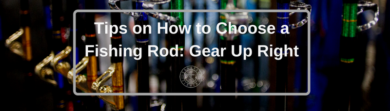 Tips on How to Choose a Fishing Rod: Gear Up Right