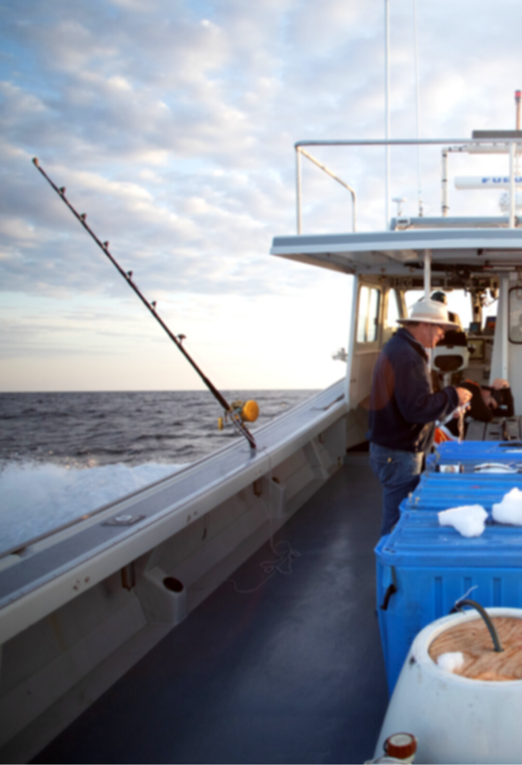 Fishing Boat