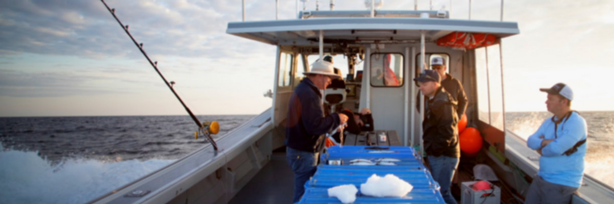 Fishing Boat