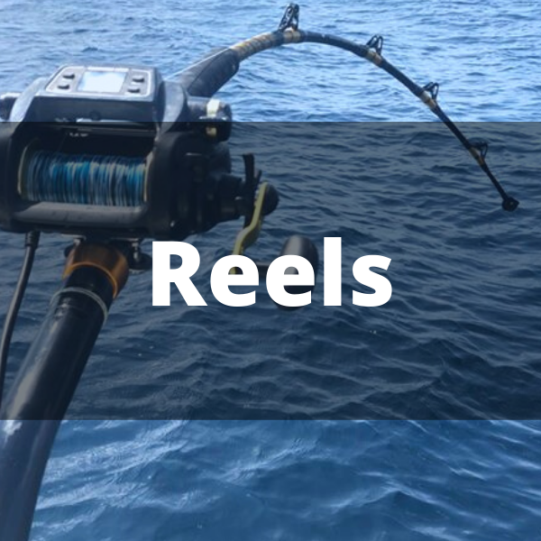 deep sea fishing rods reels and gear Heavy Saltwater Trolling/ Drop Rod Whether youre a weekend warrior or a seasoned pro Deep Sea Fishing Best Surf