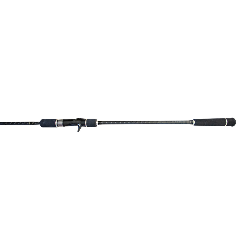 Conventional Turbo Guide Jigging Rod - Coastal Fishing